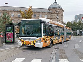 Image illustrative de l’article Bus à haut niveau de service de Strasbourg