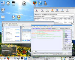 Gentoo Linux (2.6.13-r9 kernel) KDE 3.4.2 -työpöytäympäristöllä.