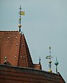 Giebel- und Dachbekrönnungen als Wetterfahnen und Knäufe (Altes Rathaus und Stadtkirche St. Marien in Celle)