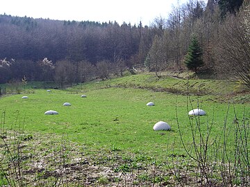 Долина реки Иль