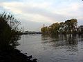 Mainufer bei Sindlingen mit Werksbrücke der Industrieparks Höchst