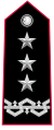 Distintivo per controspallina di generale di corpo d'armata dell'Arma dei Carabinieri