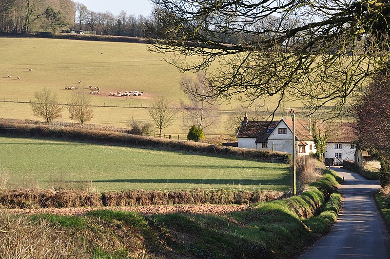 File:Mid Devon , Country Road - geograph.org.uk - 3392826.jpg