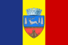 Bandeira de Bacău