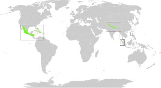 Principales zones : Amérique centrale, Grandes Antilles, piémont himalayen, Nord des Philippines, Sumatra.