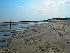 Texel - Nature Reserve 'De Slufter' - 2009, 10th of April 03.jpg