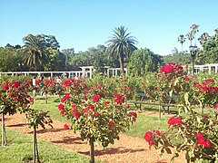 El Rosedal en Buenos Aires.