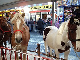 Godišnji stočni sajam u Sint-Lievens-Houtemu