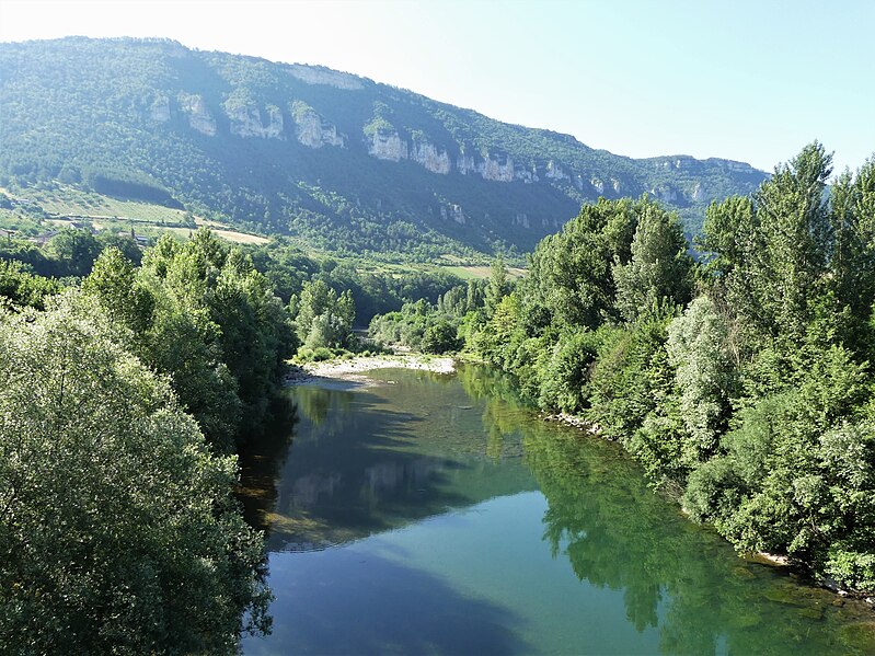 File:Tarn la Cresse pont D512 aval.jpg