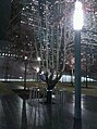 The survivor tree is a tree that survived the collapses of the Twin Towers