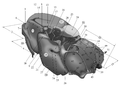 Morphology of the thorax (D)[44]