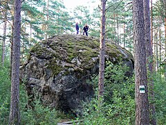 Glacial erratics on Lahemaa, Estonia.