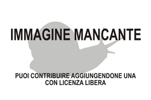 Immagine di Okenia purpureolineata mancante