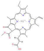 Struttura della clorofilla c1