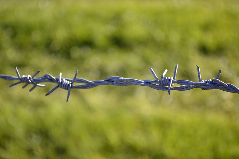 File:Ex-Iron Curtain barbed wire.JPG