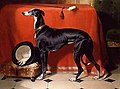 Eos, A Favorite Greyhound of Prince Albert, 1841