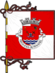 Bandeira de Penafiel