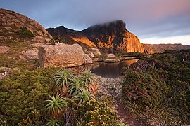 Mt Anne from High Shelf Camp Tasmania