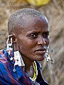 Image 19 Maasai people Photo: William Warby Portrait of a Maasai woman, with shaved head, stretched earlobes, and beaded adornments, typical of the Maasai culture. The Maasai are a Nilotic ethnic group of semi-nomadic people located in Kenya and northern Tanzania. They are among the best known of African ethnic groups, due to their distinctive customs and dress and residence near the many game parks of East Africa. Their primary language Maa (ɔl Maa) is a member of the Nilo-Saharan language family that is related to Dinka and Nuer. More selected pictures