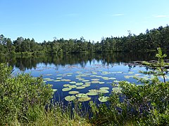 Astebotjarnen Vastergotland Sweden from SW again Aug1 2020.jpg