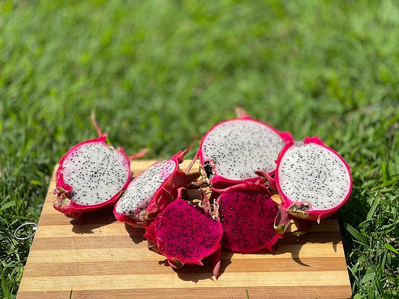 File:Dragon fruit in Azerbaijan.jpg