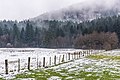 English: Wooden fence in a meadow on Warmbader Straße Deutsch: Holzzaun in einer Wiese an der Warmbader Straße