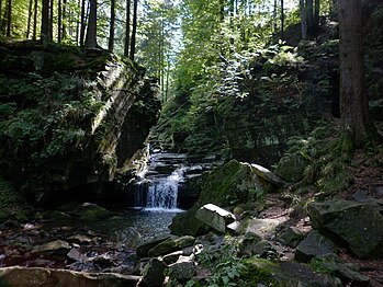 Chûte d'eau.