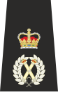 The rank insignia of a Fijian Rear admiral (left) and Commissioner of the Fijian Police (right) featuring the St Edward's Crown