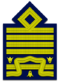 Distintivo di grado di generale dell'Aeronautica Militare Capo di stato maggiore della difesa