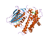 2bu2: CRYSTAL STRUCTURES OF HUMAN PYRUVATE DEHYDROGENASE KINASE 2 CONTAINING PHYSIOLOGICAL AND SYNTHETIC LIGANDS