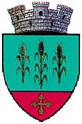 Wappen von Milișăuți