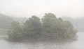 "Trustom_Pond_in_the_fog_(12453p)2.jpg" by User:Rhododendrites