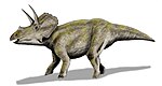 Eotriceratops