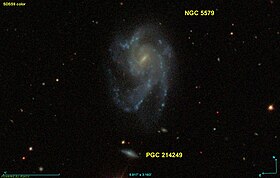 Image illustrative de l’article NGC 5579