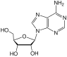 Estructura química de la adenosina