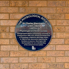 Plaque reads "The Physiological Society. Sir Charles Sherrington (1857-1952). OM PRS. Physiologist and Nobel Laureate. George Holt Professor of Physiology, University of Liverpool from 1895-1913. Shared the Nobel Prize in Physiology or Medicine with Edgar Adrian in 1932 for their discoveries regarding the functions of neurons. Sherrington laid the foundation for our understanding of the central nervous system."