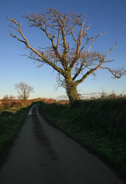 File:Lane from Antony towards St John - geograph.org.uk - 3252211.jpg