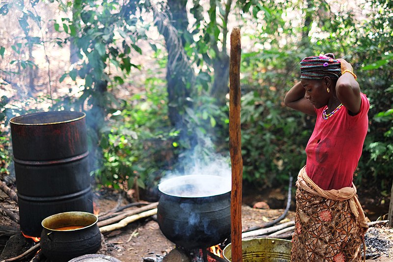 File:Palm oil, Guinea Photo 11.jpg