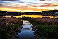 Sunset at a pond in town