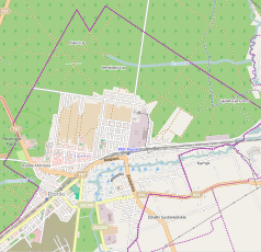 Mapa konturowa Pionek, na dole po lewej znajduje się punkt z opisem „Pronit”