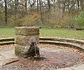 Selzerbrunnen, schwefelhaltiger Mineralbrunnen in Nied