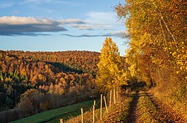 Beilstein-Maad - Schmidbachtal mit altem Feldweg am Nonnenwald im November