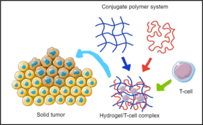 CAR-T Gel Delivery.png