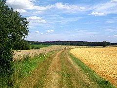 Chemin aménagé sur la plate-forme de la ligne, en direction de Vigny.