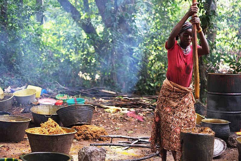 File:Palm oil, Guinea Photo 7.jpg