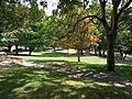 Pathway through the arboretum.