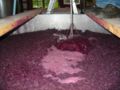 Image 28A cap of grape skins forms on the surface of fermenting red wine (from Winemaking)