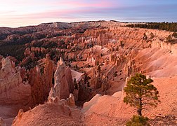 Sunrise Point Bryce Canyon November 2018 002.jpg