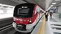 SRT Dark Red Line train at the station