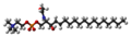 Model kroglic in paličic sfingomielina